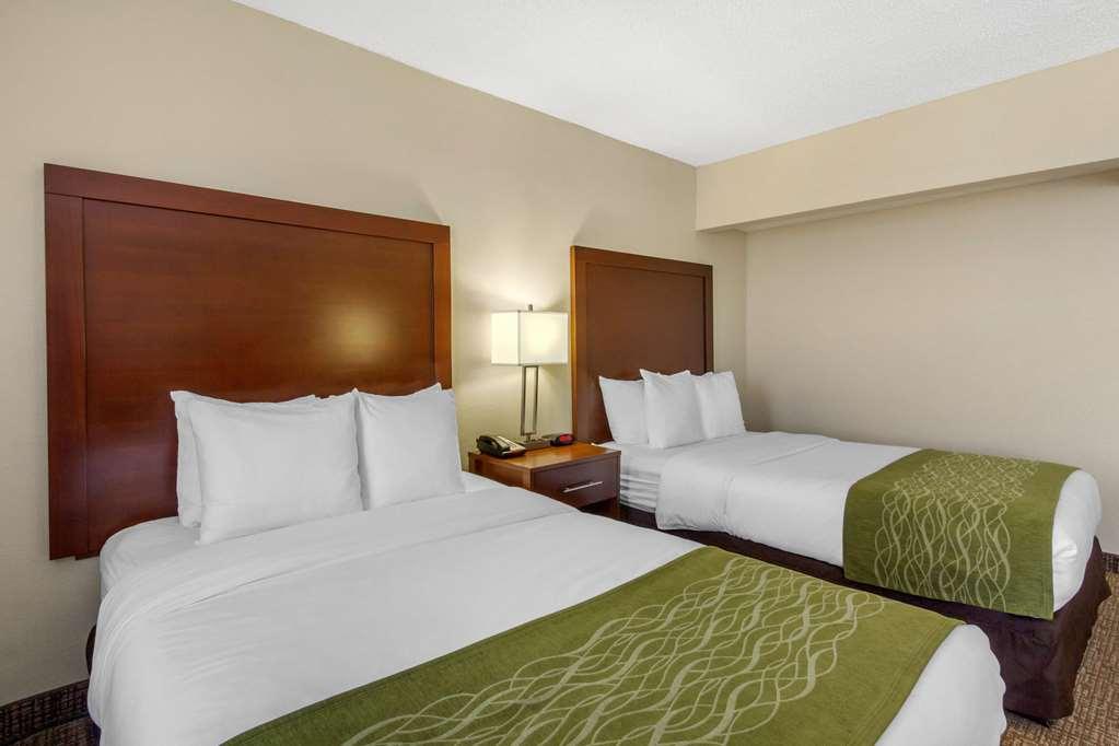 Comfort Inn St Petersburg North St. Petersburg Room photo