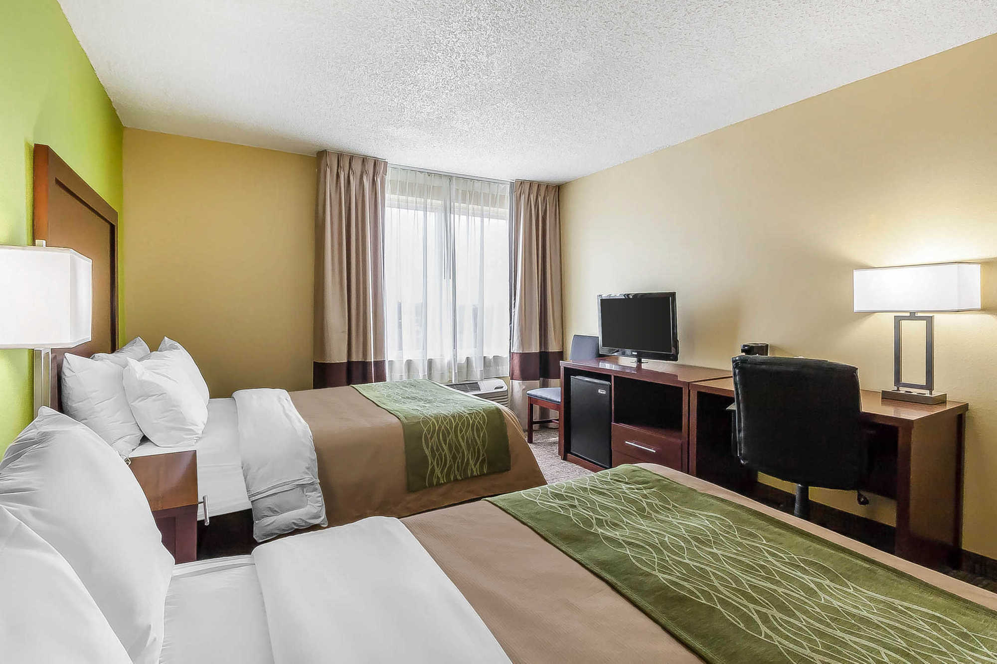 Comfort Inn St Petersburg North St. Petersburg Room photo