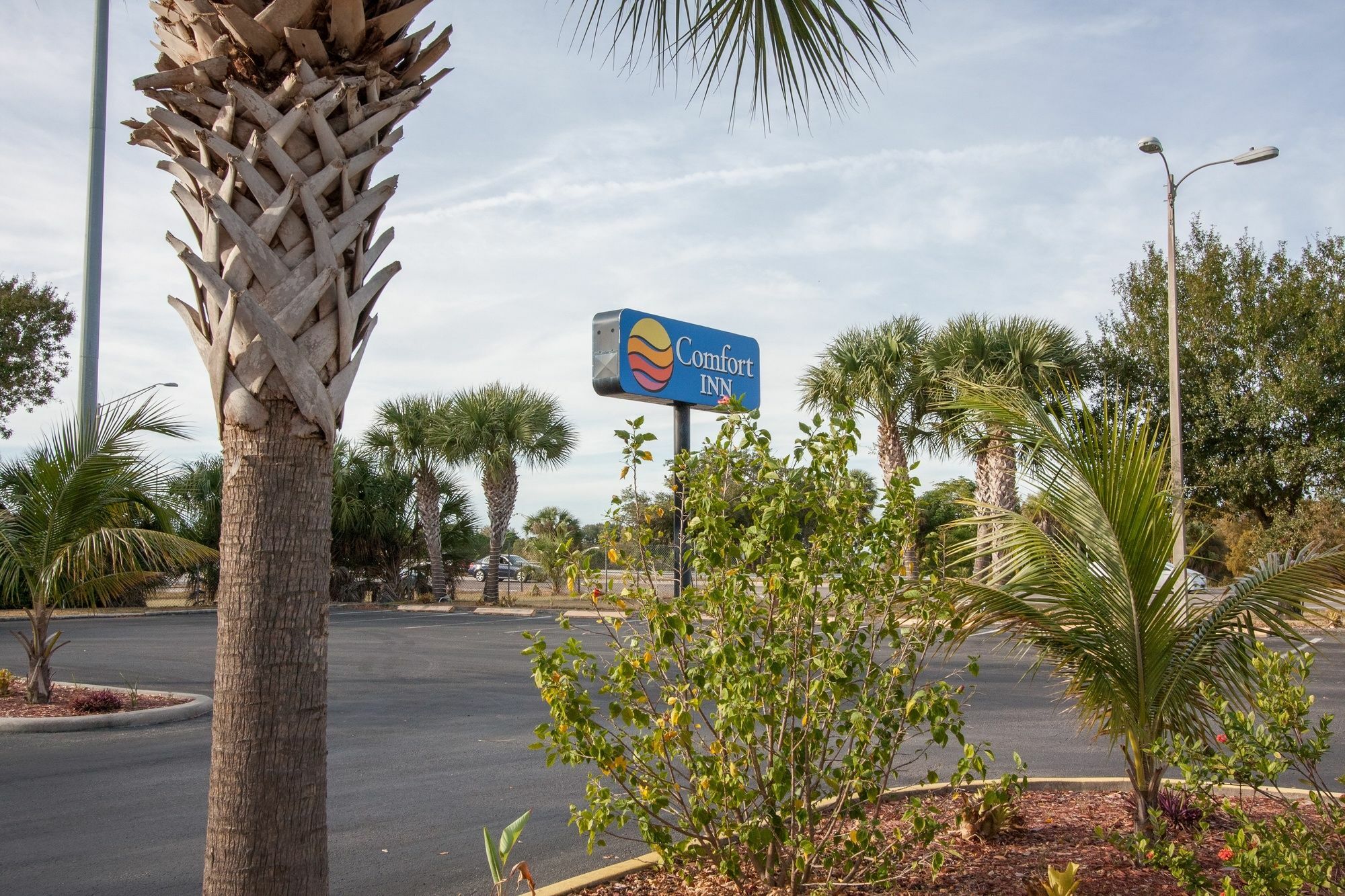 Comfort Inn St Petersburg North St. Petersburg Exterior photo